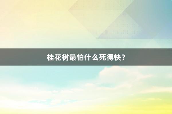 桂花树最怕什么死得快？